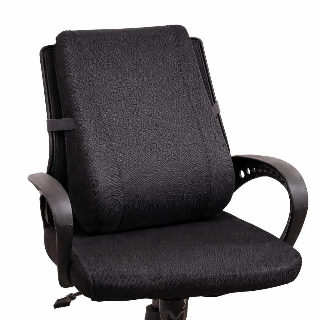 Back Cushion